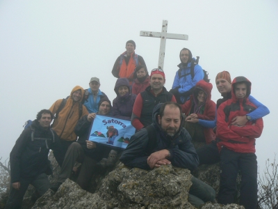 2014-11 Cellorigo